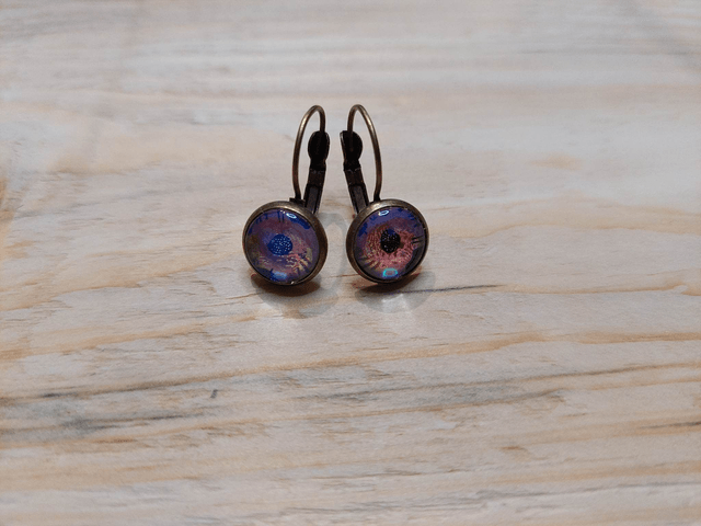 Boucles d'oreille Cabochon Dormeuse Oiseau Brillant