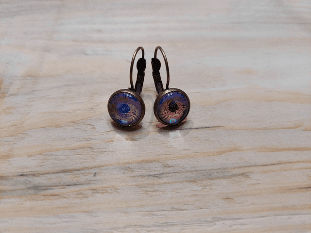 Boucles d&#039;oreille Cabochon Dormeuse Oiseau Brillant
